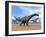 Three Argentinosaurus Dinosaurs Walking in the Desert-null-Framed Art Print