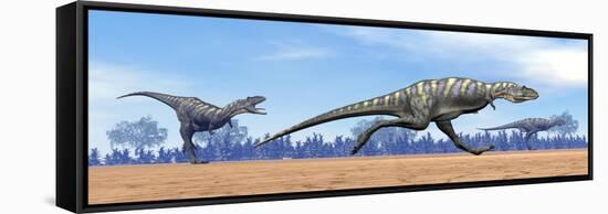 Three Aucasaurus Dinosaurs Running in the Desert-null-Framed Stretched Canvas