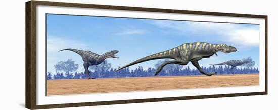 Three Aucasaurus Dinosaurs Running in the Desert-null-Framed Premium Giclee Print