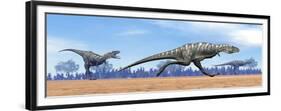 Three Aucasaurus Dinosaurs Running in the Desert-null-Framed Premium Giclee Print
