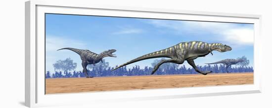 Three Aucasaurus Dinosaurs Running in the Desert-null-Framed Premium Giclee Print