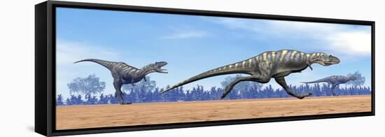 Three Aucasaurus Dinosaurs Running in the Desert-null-Framed Stretched Canvas