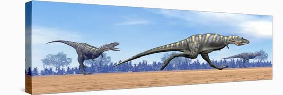 Three Aucasaurus Dinosaurs Running in the Desert-null-Stretched Canvas
