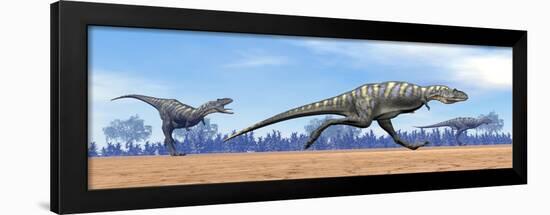 Three Aucasaurus Dinosaurs Running in the Desert-null-Framed Art Print