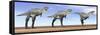 Three Aucasaurus Dinosaurs Standing in the Desert by Daylight-null-Framed Stretched Canvas