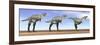 Three Aucasaurus Dinosaurs Standing in the Desert by Daylight-null-Framed Premium Giclee Print