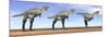 Three Aucasaurus Dinosaurs Standing in the Desert by Daylight-null-Mounted Art Print