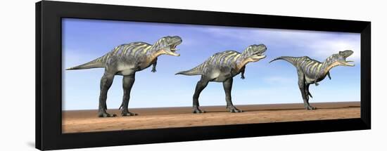 Three Aucasaurus Dinosaurs Standing in the Desert by Daylight-null-Framed Art Print