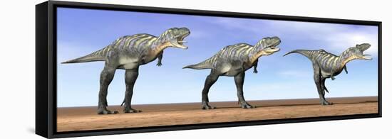 Three Aucasaurus Dinosaurs Standing in the Desert by Daylight-null-Framed Stretched Canvas