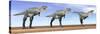 Three Aucasaurus Dinosaurs Standing in the Desert by Daylight-null-Stretched Canvas