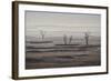 Three Bare Trees on a Hazy Morning, Badlands National Park, South Dakota-James Hager-Framed Photographic Print