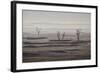 Three Bare Trees on a Hazy Morning, Badlands National Park, South Dakota-James Hager-Framed Photographic Print