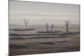 Three Bare Trees on a Hazy Morning, Badlands National Park, South Dakota-James Hager-Mounted Photographic Print