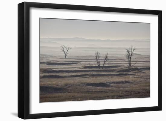 Three Bare Trees on a Hazy Morning, Badlands National Park, South Dakota-James Hager-Framed Photographic Print