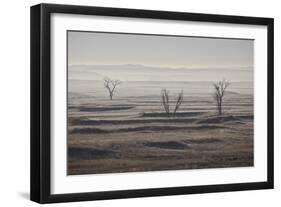 Three Bare Trees on a Hazy Morning, Badlands National Park, South Dakota-James Hager-Framed Photographic Print