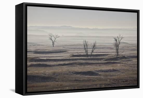 Three Bare Trees on a Hazy Morning, Badlands National Park, South Dakota-James Hager-Framed Stretched Canvas