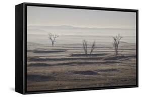 Three Bare Trees on a Hazy Morning, Badlands National Park, South Dakota-James Hager-Framed Stretched Canvas