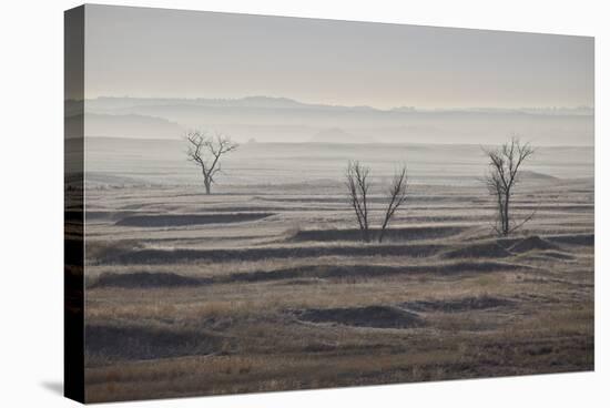 Three Bare Trees on a Hazy Morning, Badlands National Park, South Dakota-James Hager-Stretched Canvas