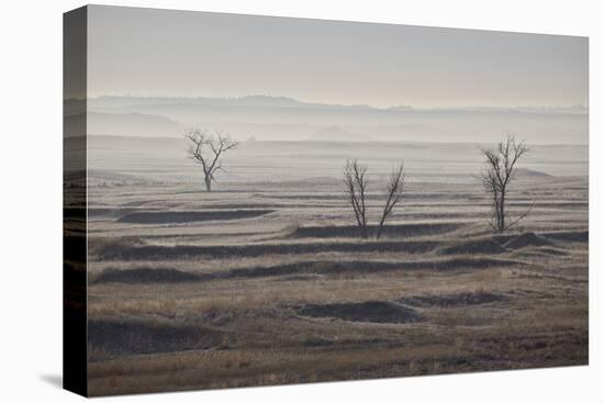 Three Bare Trees on a Hazy Morning, Badlands National Park, South Dakota-James Hager-Stretched Canvas