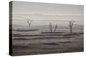 Three Bare Trees on a Hazy Morning, Badlands National Park, South Dakota-James Hager-Stretched Canvas