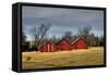 Three Barns, Kansas, USA-Michael Scheufler-Framed Stretched Canvas