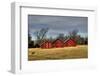 Three Barns, Kansas, USA-Michael Scheufler-Framed Photographic Print