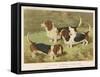Three Basset Hounds-null-Framed Stretched Canvas