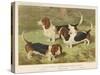 Three Basset Hounds-null-Stretched Canvas