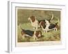 Three Basset Hounds-null-Framed Art Print