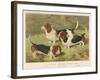 Three Basset Hounds-null-Framed Art Print