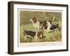 Three Basset Hounds-null-Framed Art Print