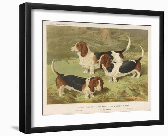 Three Basset Hounds-null-Framed Art Print