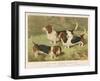 Three Basset Hounds-null-Framed Art Print