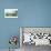Three Bears Tug of War-Nancy Tillman-Premium Giclee Print displayed on a wall