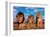 Three Big Cats-null-Framed Art Print