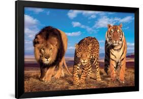 Three Big Cats-null-Framed Art Print