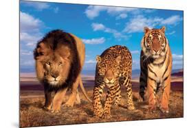 Three Big Cats-null-Mounted Art Print