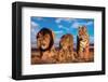 Three Big Cats-null-Framed Art Print