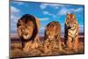 Three Big Cats-null-Mounted Art Print