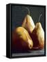 Three Big Pears-Helen J. Vaughn-Framed Stretched Canvas