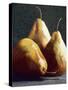 Three Big Pears-Helen J. Vaughn-Stretched Canvas