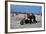 Three Bikers Take the Sand Off their Chromium-Plated Motorbikes-Mario de Biasi-Framed Photographic Print