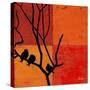 Three Birdies II-Patricia Pinto-Stretched Canvas