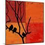 Three Birdies II-Patricia Pinto-Mounted Art Print