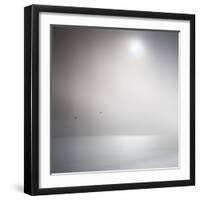 Three Birds Xi-Doug Chinnery-Framed Premium Photographic Print