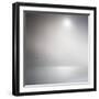 Three Birds Xi-Doug Chinnery-Framed Photographic Print