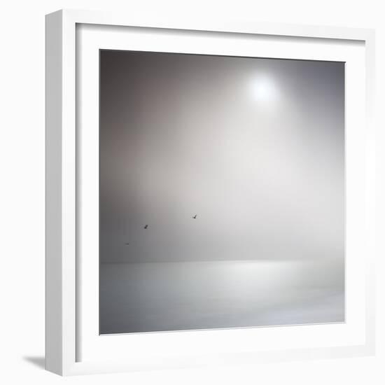 Three Birds Xi-Doug Chinnery-Framed Photographic Print