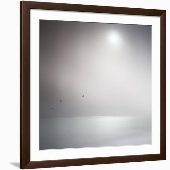 Three Birds Xi-Doug Chinnery-Framed Photographic Print