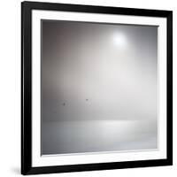 Three Birds Xi-Doug Chinnery-Framed Photographic Print