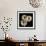 Three Black-Eyed Susans-Michael Harrison-Framed Art Print displayed on a wall